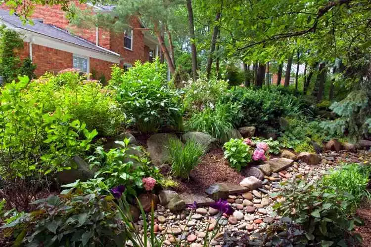 Create a Creek Bed and Plant rain gardens