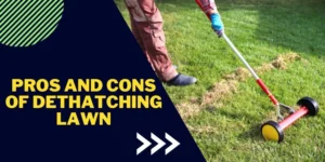 Pros and Cons of Dethatching Lawn