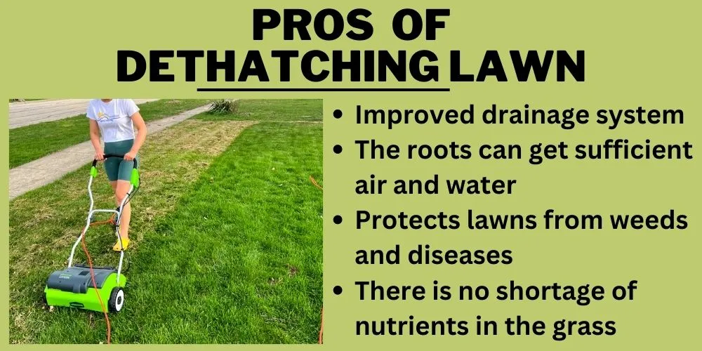 Pros  of Dethatching Lawn