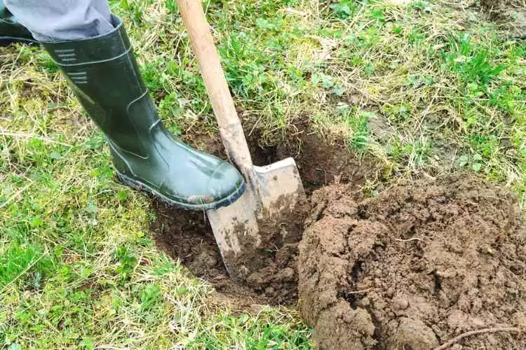 How deep can you dig in your backyard