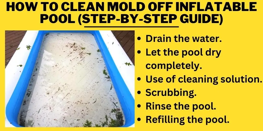 How to clean mold off inflatable pool (Step-by-Step guide)