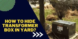How to hide transformer box in yard