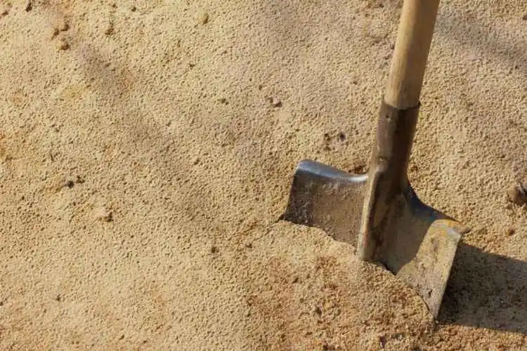 Amendments for Improving Sand for Sod Growth