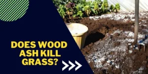 Does wood ash kill grass