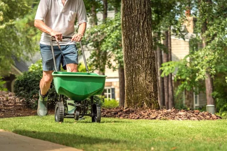 How To Fertilize Your Lawn Safely