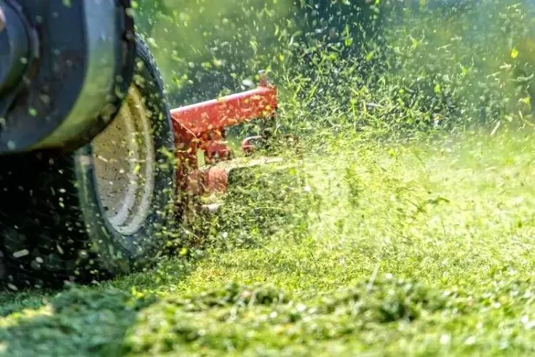 Why Is My Lawn Mower Spitting Out Grass? All the reasons you need to know