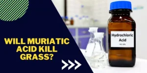Will Muriatic Acid Kill Grass