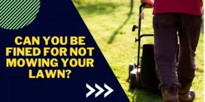 Can you be fined for not mowing your lawn