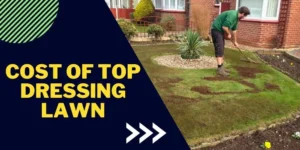 Cost of top dressing lawn