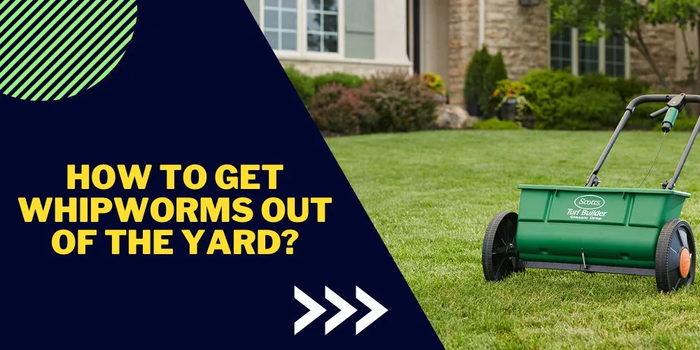 How To Get Whipworms Out of The Yard? (Tricks and Techniques)