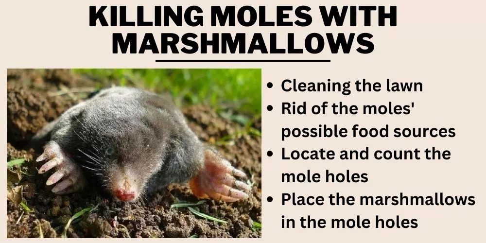 Killing moles with marshmallows
