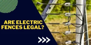 Are electric fences legal