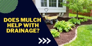 Does mulch help with drainage